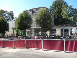 avenue Foch des arbres abattus