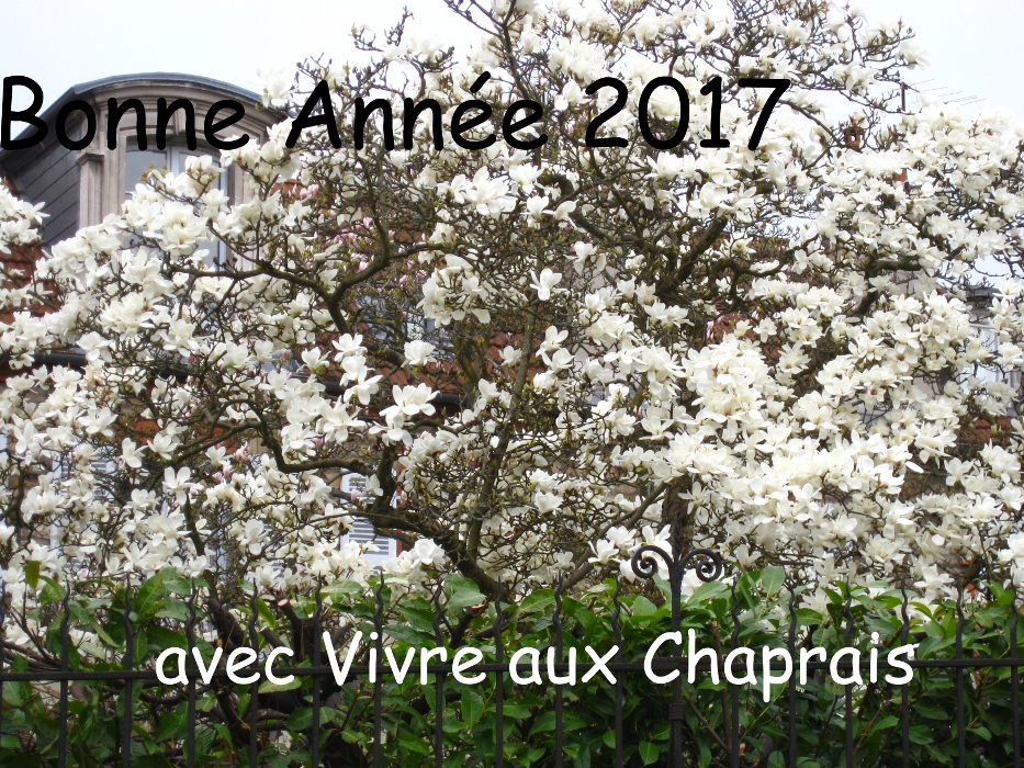 voeux 2017