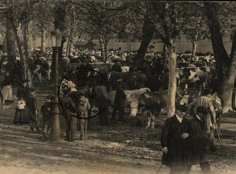Foire aux bestiaux