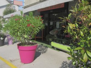 Le jardin de Lilly