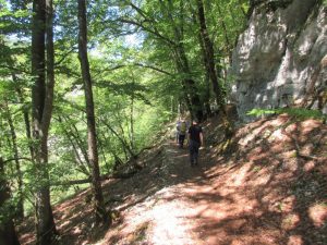 sentier rive droite Loue