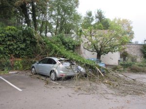 arbre écrase des voitures