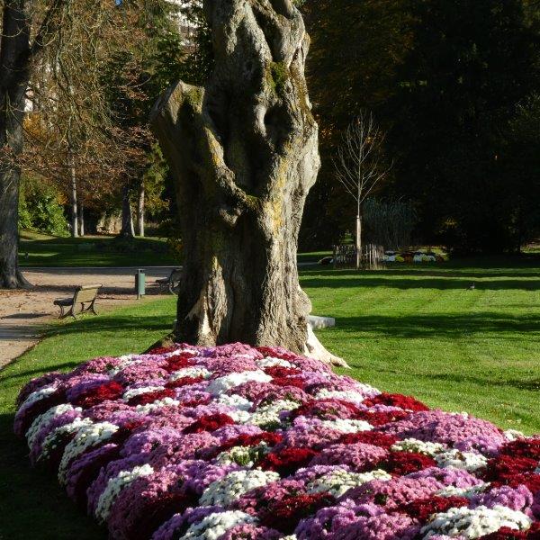 Micaud novembre 20