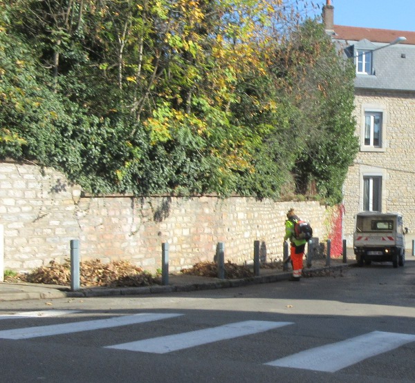 ramassage de feuilles