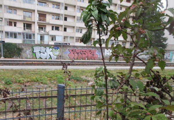 tags à la Mouillère nov 20