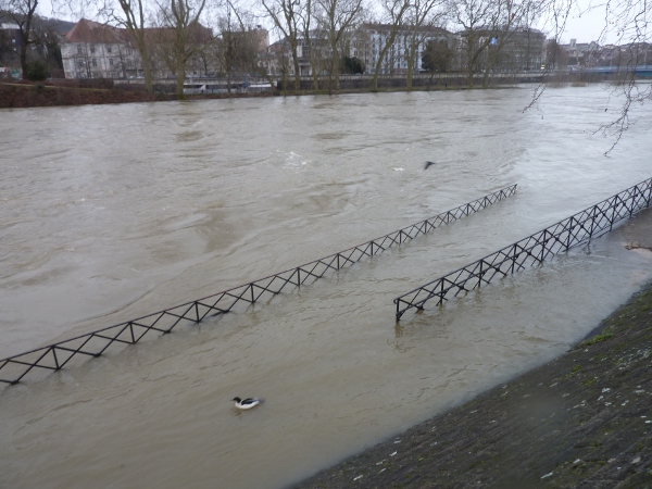 Doubs en crue 30/1/21