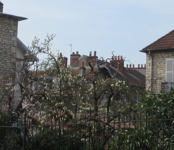 rue du Chasnot mars 21
