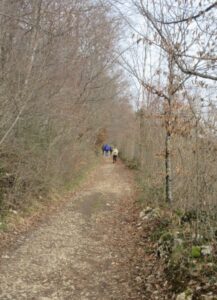 Marchons lundi sentier Montfaucon