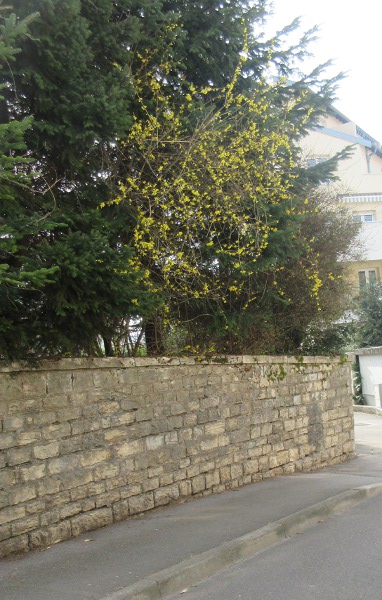 jaune et vert rue Rotonde