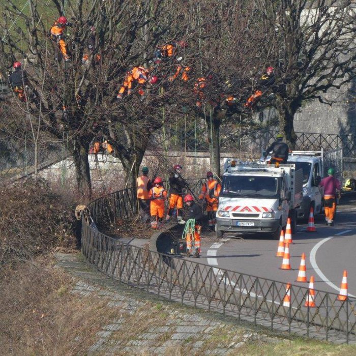 élagage photo Georges Pannetton