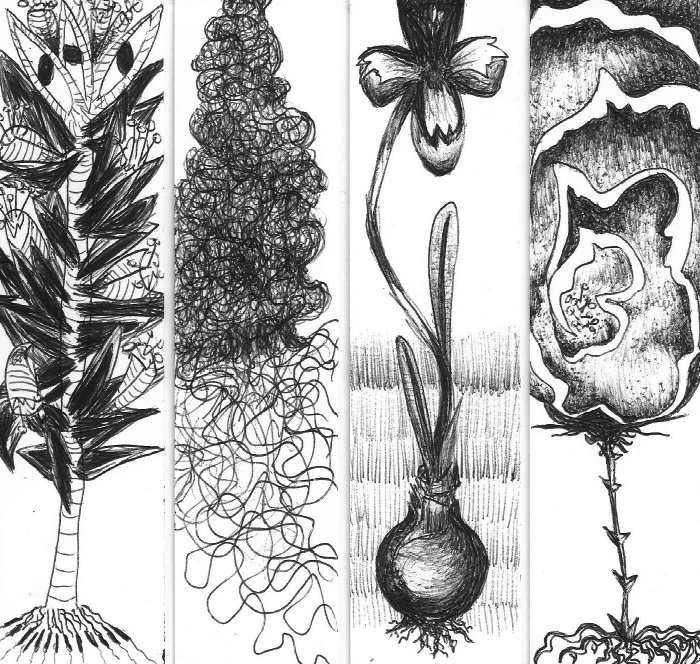 Eva plantes inventées