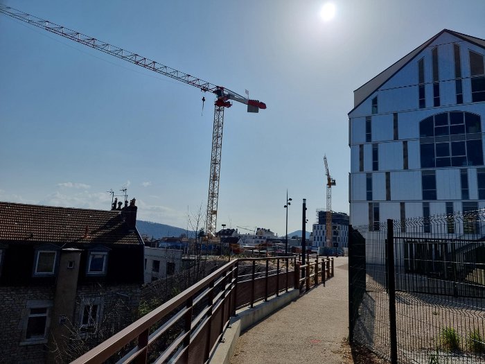 grues viotte 20 mars 22 