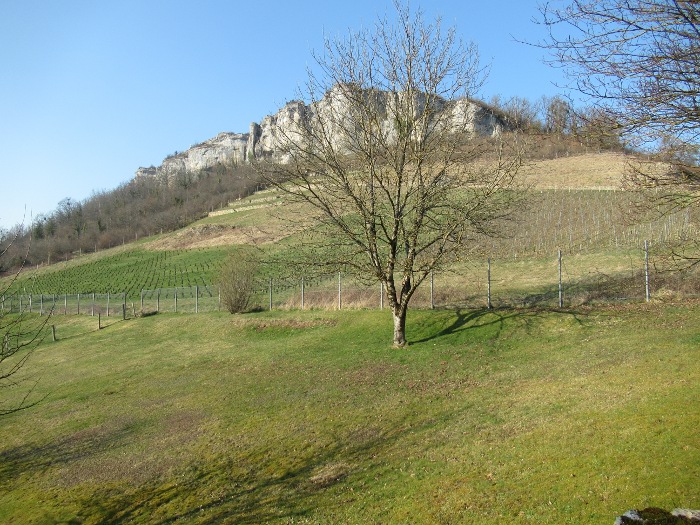 Ornans falaises vignes
