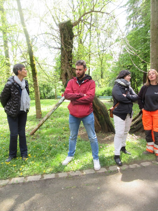 Parc des Chaprais arbre