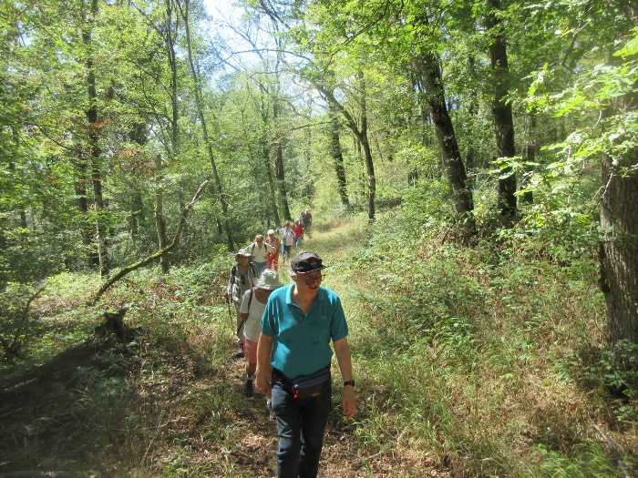 marche à Vaire vers Loriot