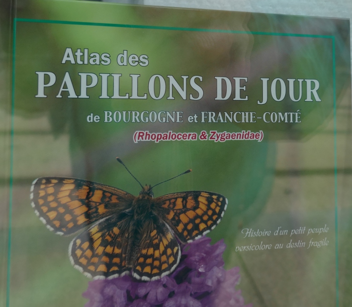 atlas des papillons
