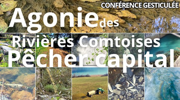 rivières à l'agonie