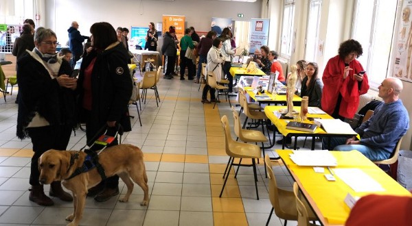 JSBE 24 non-voyant chien GP