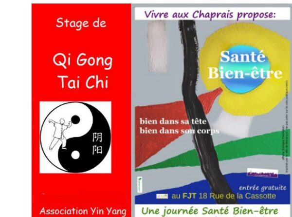 Tai chi et Qi Gong avec Yin Yang