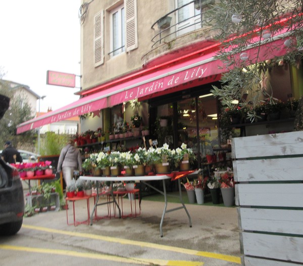 fleurs rue de Belfort décembre 24