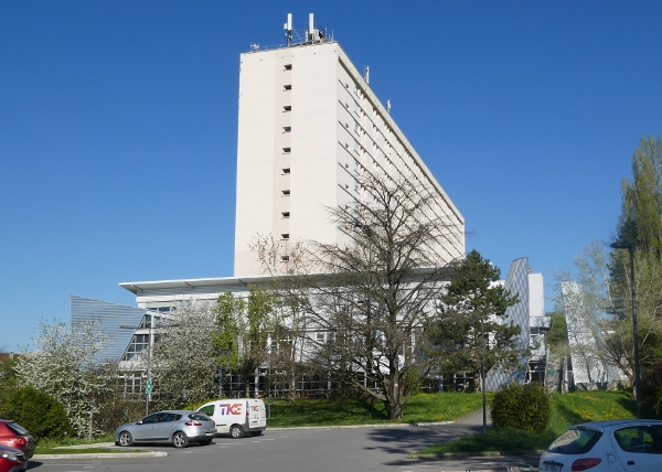 Habitat Jeunes Les Oiseaux