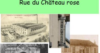 histoire Château rose