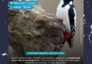 biodiversité, LPO