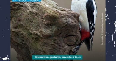 biodiversité, LPO
